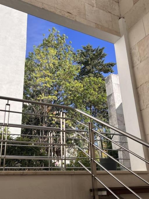 Appartamento Condesa Amsterdam 202 Bright 1br 1ba On Amsterdam Av Città del Messico