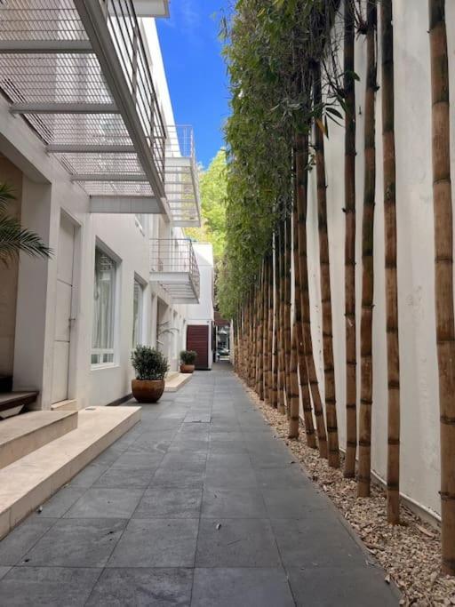 Condesa Amsterdam 202 Bright 1br 1ba On Amsterdam Av * Mexico-stad
