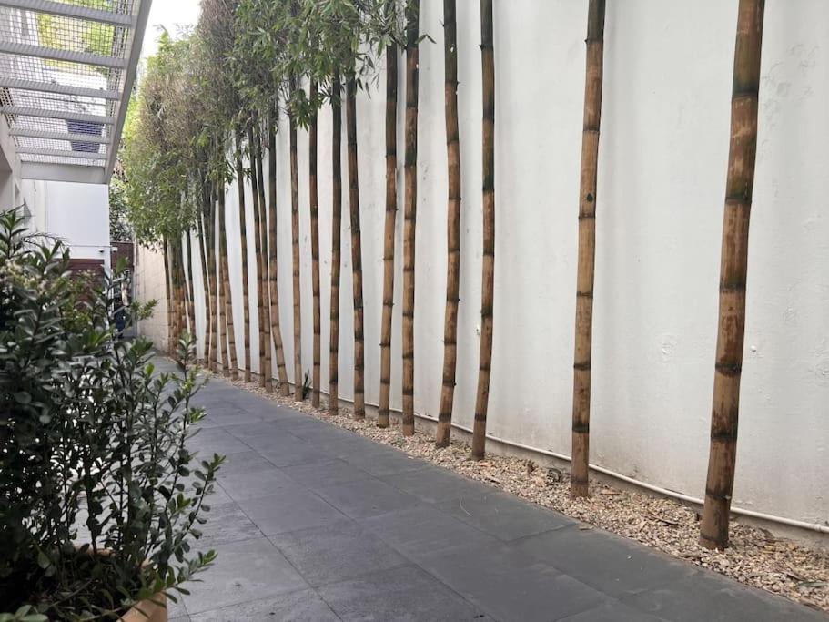 Condesa Amsterdam 202 Bright 1br 1ba On Amsterdam Av Appartement Mexico-stad