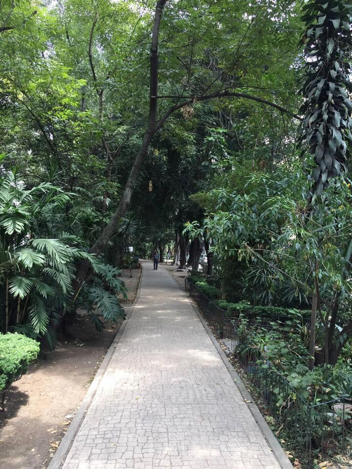 Condesa Amsterdam 202 Bright 1br 1ba On Amsterdam Av Mexico-stad